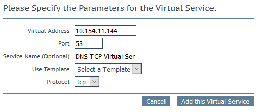 Create a DNS TCP Virtual Service.png