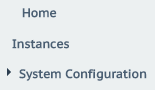 Set Up the Server VLM.png