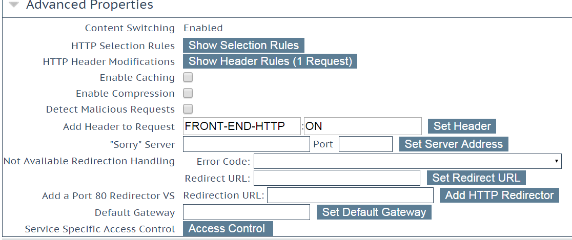 Configure the Virtual Service_12.png