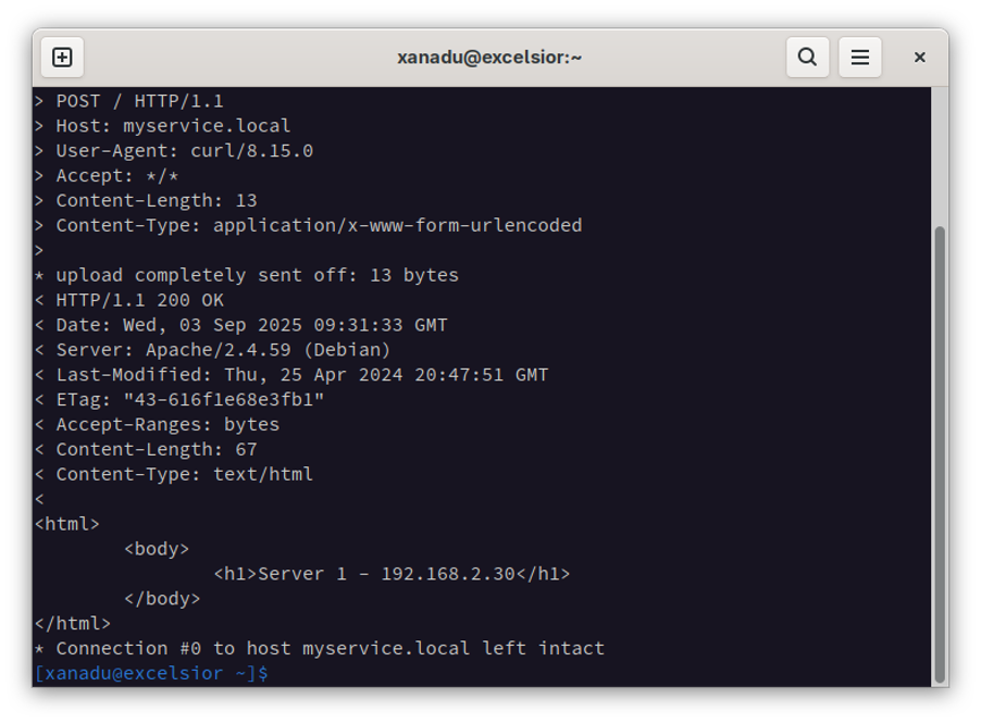 Screenshot of a Linux terminal window showing a successful web response