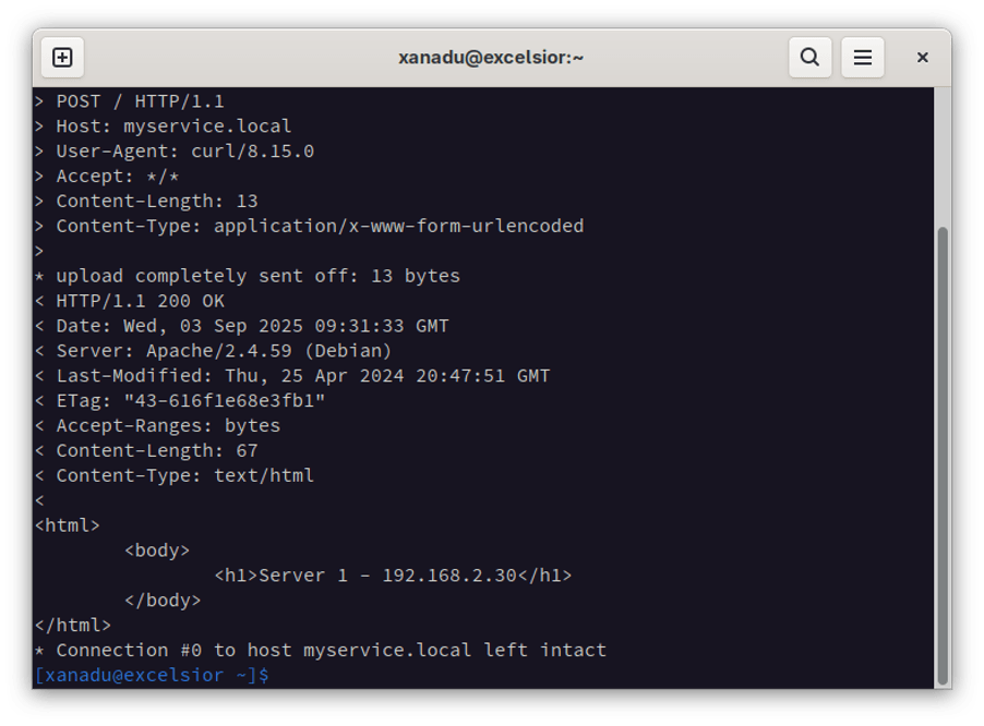 Screenshot of a Linux terminal window showing a successful web response