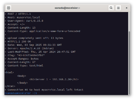 Screenshot of a Linux terminal window showing a successful web response.