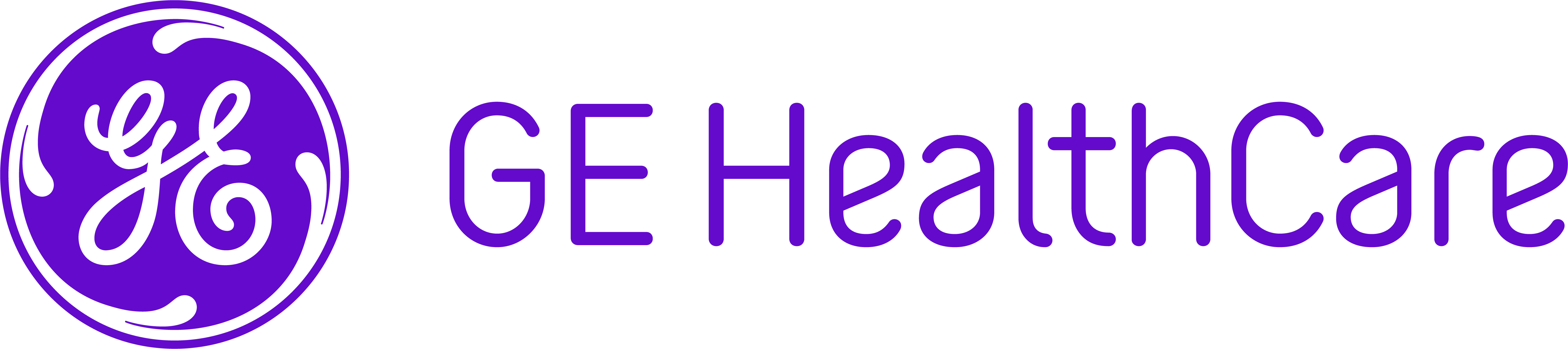 ge_healthcare_vendor